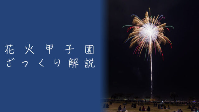 花火甲子園とは？見どころや観覧席をざっくり解説｜ハナビディア